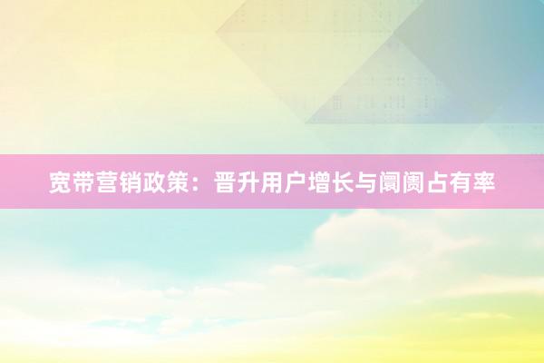 宽带营销政策：晋升用户增长与阛阓占有率