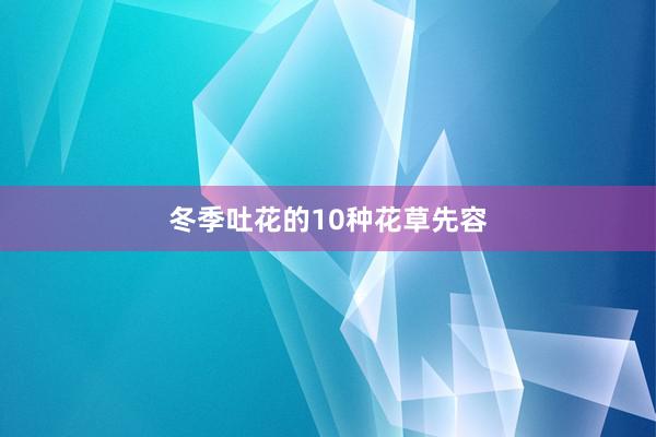 冬季吐花的10种花草先容